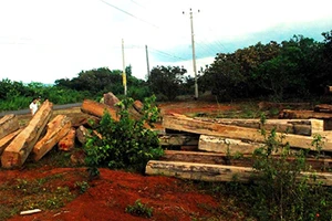 Chủ tịch huyện cải trang 'vi hành', ba cán bộ bị kỷ luật