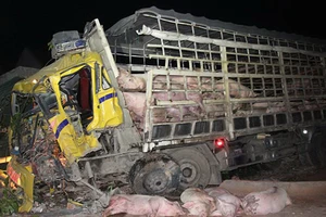 Xe tải tông ô tô khách, 3 người thương vong