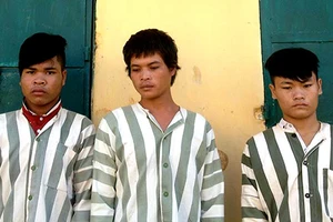 Đuổi người ra khỏi nhà cướp chim, bắt chó