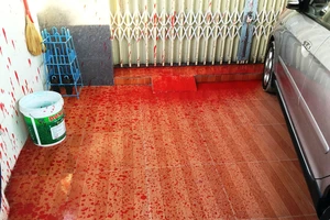 Nhà của phóng viên báo Người Lao Động bị tạt sơn đỏ