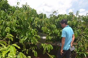 Bé 7 tuổi bị hung thủ hiếp dâm rồi sát hại