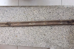 Người mẹ đánh con tử vong bị bắt giam