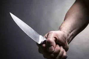 Nam sinh lớp 9 dùng dao đâm chết bạn học