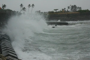 Du khách bị kẹt ở đảo Lý Sơn 