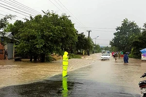 Bão số 12 vào Gia Lai làm nhiều cây bật gốc, mưa to