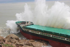 Thảm họa chìm tàu bão số 12 ở Quy Nhơn, do đâu?