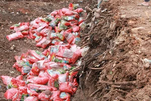 Tiêu hủy gần 200 tấn phân hết date trong kho ở Đắk Lắk