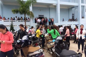 Ngưng triển khai chấm dứt hợp đồng hàng trăm giáo viên