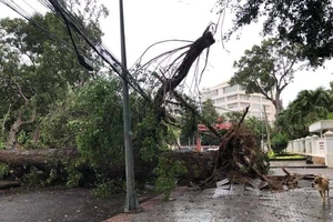 Bão vào Vũng Tàu, mưa to hoành hành khắp miền Nam