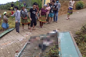 Sập cổng trường mầm non, 6 học sinh thương vong