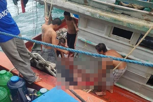 Cà Mau: 1 ngư dân tử vong, 750 căn nhà hư hỏng do giông lốc