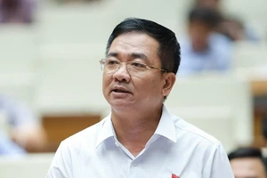 Buộc đi trồng cây, quét đường phố nếu gây bạo lực gia đình 