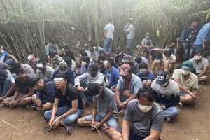 Chủ sới bạc phát lau sậy, tổ chức đá gà ở Bình Chánh