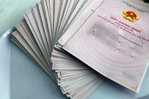 Bình Thuận: Thanh tra chuyển 11 vụ cho công an xử lý