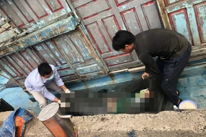 Công an Đà Nẵng tìm thân nhân 1 thi thể nữ nổi trên biển Lăng Cô