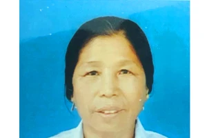 Cụ bà 73 tuổi chiếm đoạt gần 14 tỉ đồng