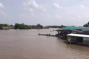 Chủ tịch tỉnh Cà Mau: Khẩn trương tìm kiếm Thiếu tá công an mất tích trên sông Bảy Háp