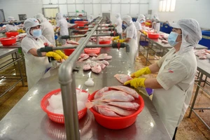 Chính sách an sinh cho người lao động TP.HCM là cần thiết