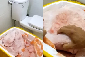 ĐIỀU TRA: Vú heo trôi nổi thành nầm bò quán nhậu - Bài 2 - Ớn lạnh 'công nghệ' biến vú heo thành nầm bò 
