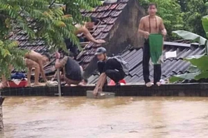 40 học sinh trèo lên nóc nhà cầu cứu do lũ lên nhanh
