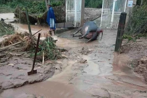 Mưa lũ chia cắt nhiều vùng ở Nghệ An, người dân hối hả chạy lũ 