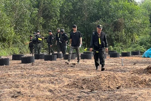 Hàng trăm cảnh sát của Công an tỉnh Long An và Công an TP.HCM được điều động đến khu vực nghi phạm lẩn trốn.