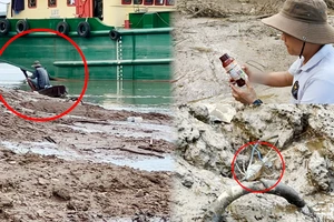 Điều tra: Đổ thuốc trừ sâu xuống sông Đồng Nai bắt tôm - Bài 2- 15 phút, vớt được cả ký tôm trúng thuốc