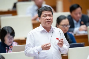 Không nên giao CSGT dạy lại người bị trừ hết điểm giấy phép lái xe 