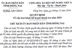 Đồng Nai sẽ tiến hành hơn 500 cuộc thanh tra trong năm 2025