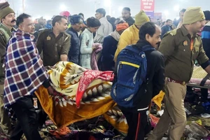 Chưa có thông tin về người Việt Nam trong vụ giẫm đạp ở Ấn Độ