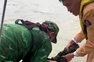 Hải Phòng: CSGT, Biên phòng cứu sống một người phụ nữ nhảy cầu Bính