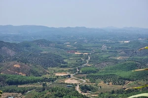 Công an Lâm Đồng truy tìm ô tô gây tai nạn chết người rồi bỏ trốn