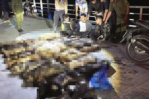 Bắt 3 kẻ trộm chó, thu giữ 24 con chó đã chết