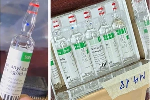 Ma túy fentanyl cực độc tiếp tục xuất hiện tại Việt Nam và cảnh báo của C04