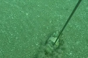 1 người đàn ông ở Quảng Ngãi tử vong khi lặn biển, nghi do bị chuột rút