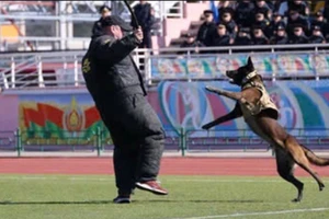 Cảnh sát cơ động giành giải Ba cuộc thi huấn luyện chó nghiệp vụ tại Belarus