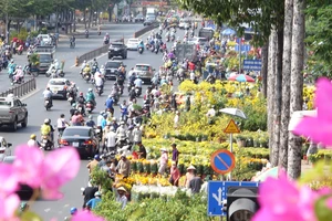 Hoa tràn xuống đường hạ giá, người dân tấp nập ghé mua