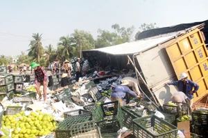 Gạo, xoài tràn ra đường, không có ai hôi của