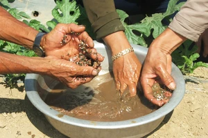 Doanh nghiệp bán “phân bón đất sét” bị phạt 90 triệu đồng