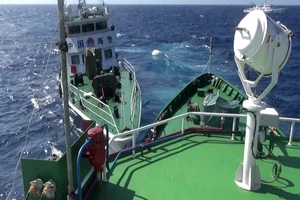 Tin chiều 19-5: Tàu vỏ sắt TQ sẵn sàng đâm va tàu vỏ gỗ của ngư dân VN