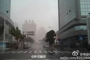 Trung Quốc thiệt hại hơn 6.3 tỷ USD do bão Rammasun