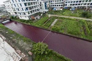 Bí ẩn nước sông ở Trung Quốc đổi sang màu máu qua một đêm