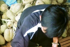 Truy tìm hóa chất cực độc giúp trái cây một tháng vẫn... tươi