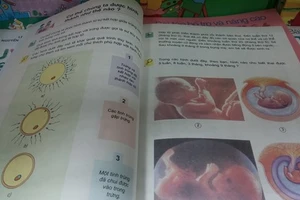 Sách lớp 5 dạy về phụ nữ có thai: Chủ biên sách nói gì?