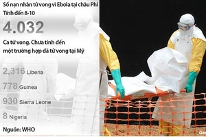 Cẩm nang Ebola - Bài 1: Sáu lý do 'đáng sợ' về Ebola