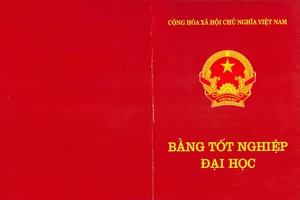 Ngừng bổ nhiệm Phó Chánh thanh tra chưa có bằng đại học