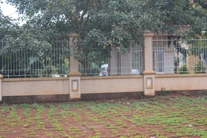 Thực nghiệm hiện trường vụ CSGT trạm Suối Tre bắn chết lãnh đạo