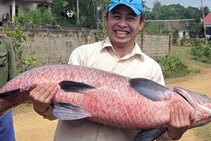 'Thủy quái' trăm triệu vào tay thợ săn Việt - phần 1