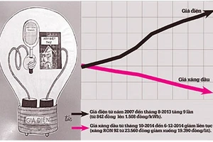 Giá xăng giảm kỷ lục: 'Quà giáng sinh' hay 'liều thuốc gây mê'?