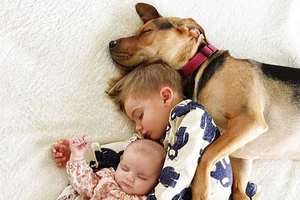 Bộ ảnh thiên thần làm xao lòng người xem